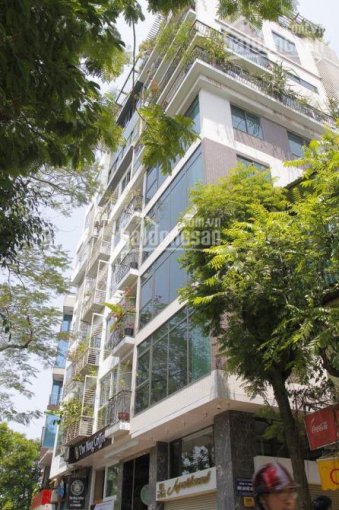 Cần bán nhà mặt phố Nguyễn Khang, dt 60m2, mt 6m, xây 7 tầng thang máy